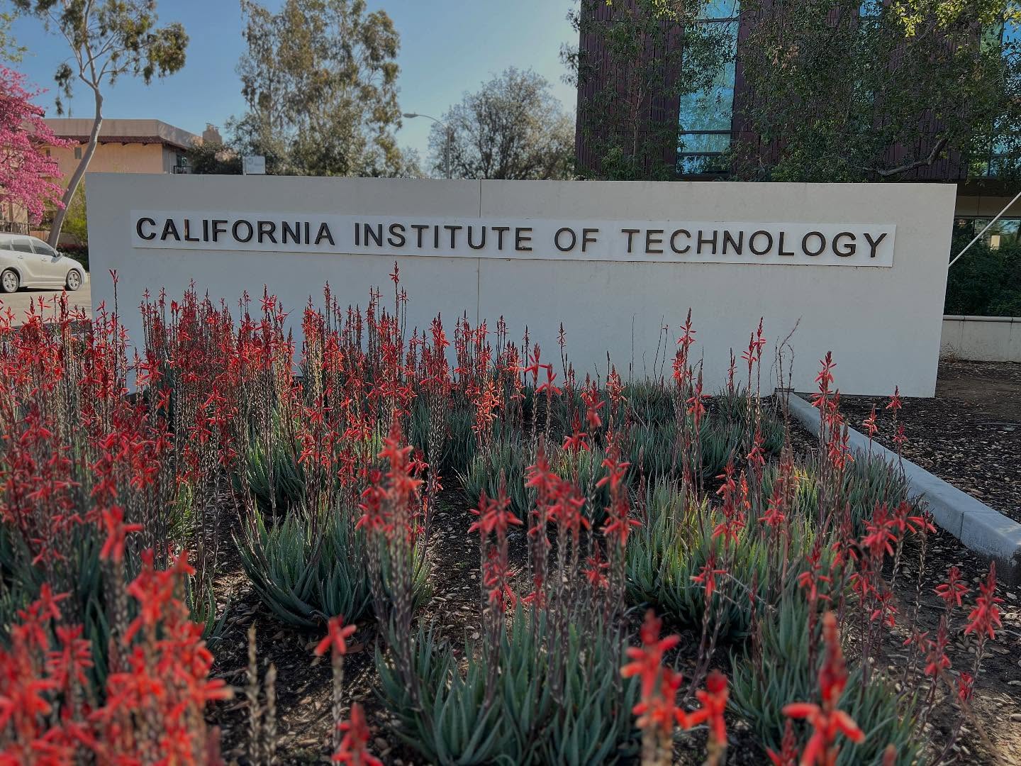 Spending the day at Caltech to give the seismo lab seminar!