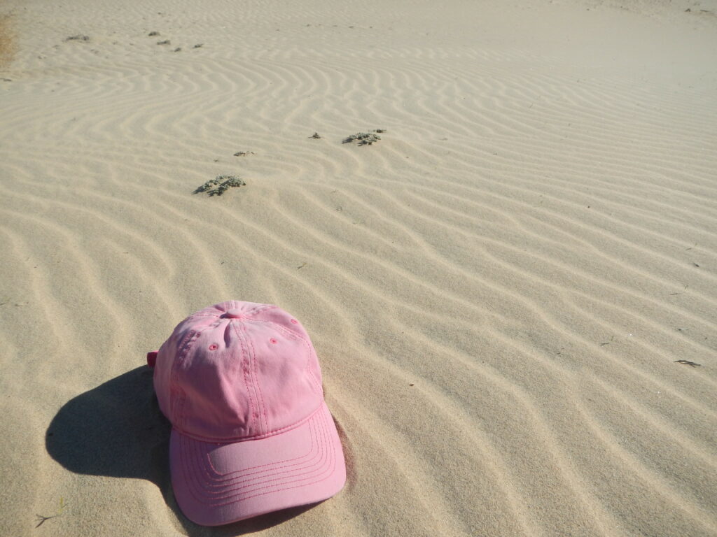 Modern wind ripples in dune sand in Death Valley 
